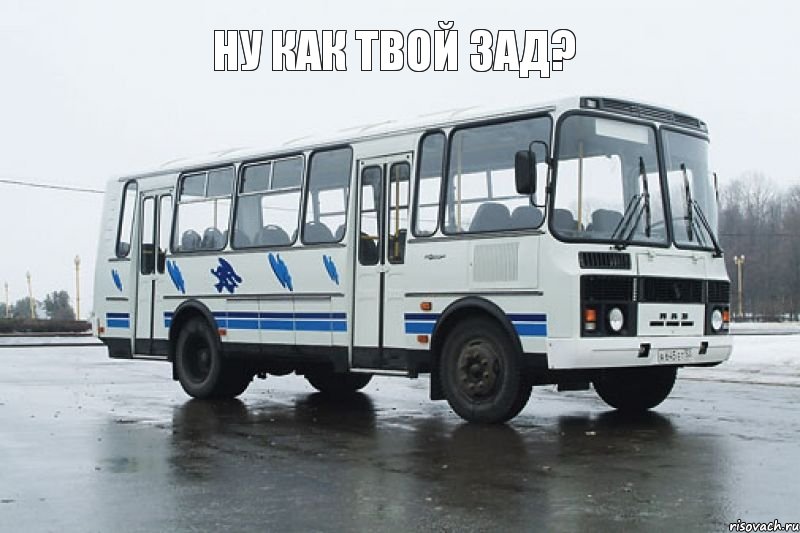 ну как твой зад? 