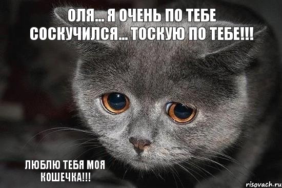 Люблю тебя моя Кошечка!!! Оля... я очень по тебе соскучился... тоскую по тебе!!!, Мем  Грустный кот