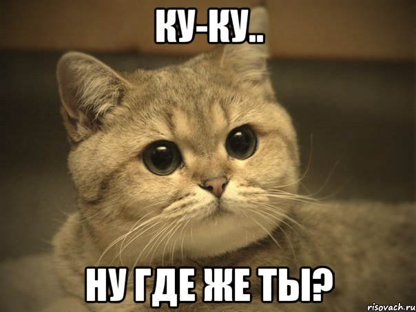 ку-ку.. ну где же ты?