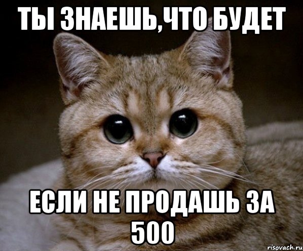 ты знаешь,что будет если не продашь за 500, Мем Пидрила Ебаная