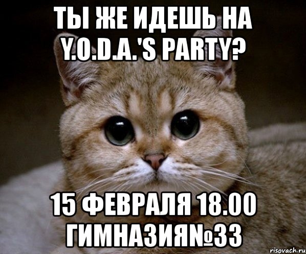 ты же идешь на y.o.d.a.'s party? 15 февраля 18.00 гимназия№33, Мем Пидрила Ебаная