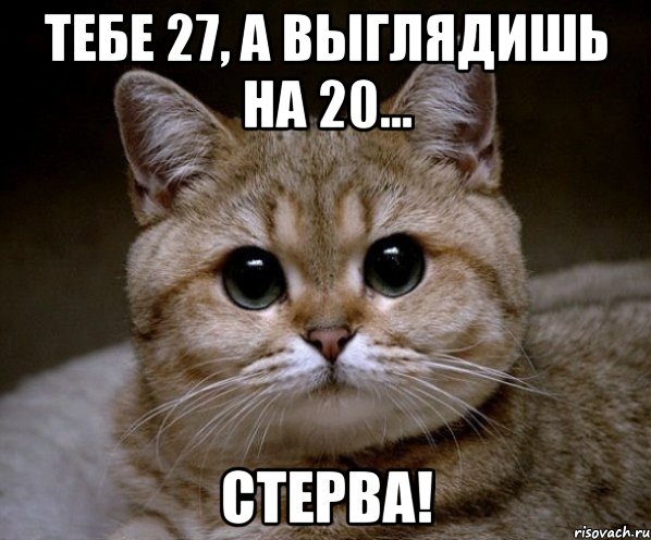 тебе 27, а выглядишь на 20... стерва!, Мем Пидрила Ебаная