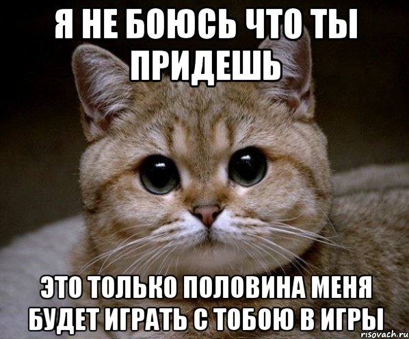 я не боюсь что ты придешь это только половина меня будет играть с тобою в игры, Мем Пидрила Ебаная