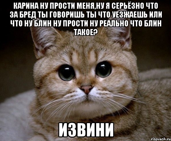 карина ну прости меня,ну я серьёзно что за бред ты говоришь ты что уезжаешь или что ну блин ну прости ну реально что блин такое? извини, Мем Пидрила Ебаная