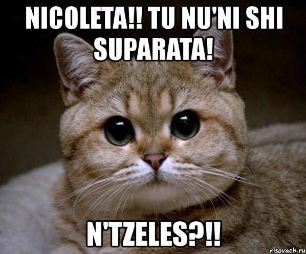 nicoleta!! tu nu'ni shi suparata! n'tzeles?!!, Мем Пидрила Ебаная