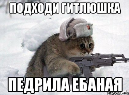 подходи гитлюшка педрила ебаная, Мем Пидрилы ебаные
