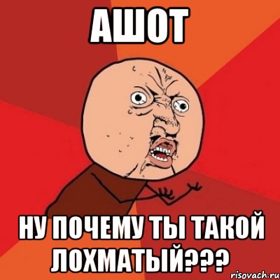 ашот ну почему ты такой лохматый???, Мем Почему