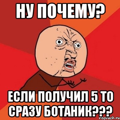 ну почему? если получил 5 то сразу ботаник???, Мем Почему