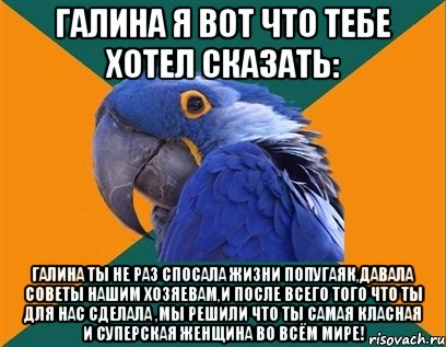 галина я вот что тебе хотел сказать: галина ты не раз спосала жизни попугаяк,давала советы нашим хозяевам,и после всего того что ты для нас сделала ,мы решили что ты самая класная и суперская женщина во всём мире!, Мем Попугай параноик