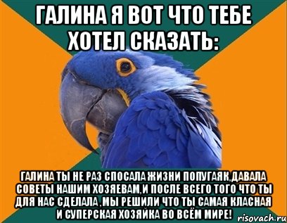 галина я вот что тебе хотел сказать: галина ты не раз спосала жизни попугаяк,давала советы нашим хозяевам,и после всего того что ты для нас сделала ,мы решили что ты самая класная и суперская хозяйка во всём мире!