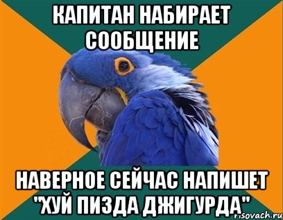 капитан набирает сообщение наверное сейчас напишет "хуй пизда джигурда", Мем Попугай параноик