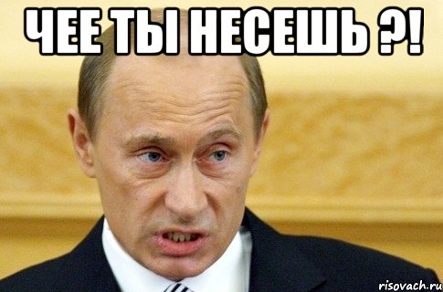 чее ты несешь ?! , Мем путин