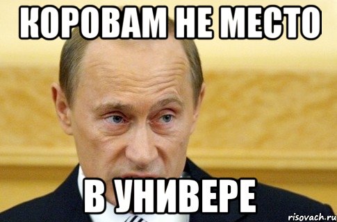 коровам не место в универе, Мем путин