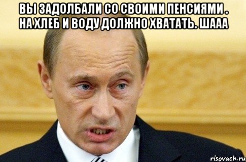 вы задолбали со своими пенсиями . на хлеб и воду должно хватать. шааа , Мем путин