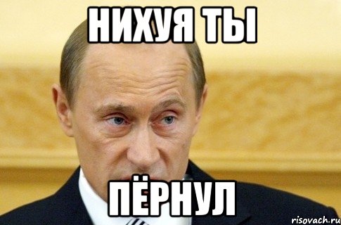 нихуя ты пёрнул, Мем путин