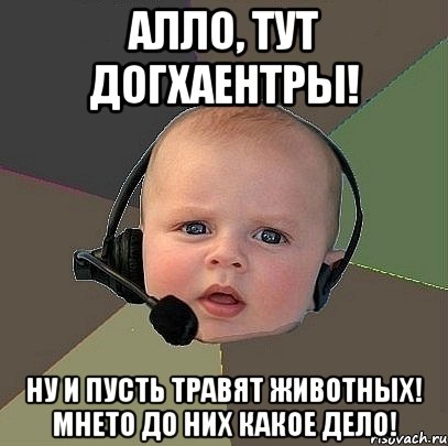 алло, тут догхаентры! ну и пусть травят животных! мнето до них какое дело!, Мем  Ребенок на связи