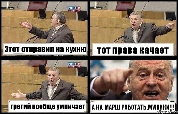 Этот отправил на кухню тот права качает третий вообще умничает А НУ, МАРШ РАБОТАТЬ,МУЖИКИ!!!, Комикс с Жириновским