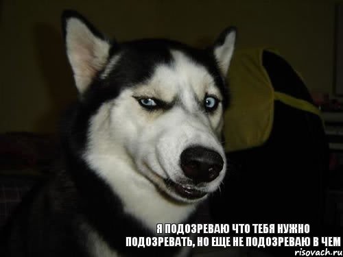 Я подозреваю что тебя нужно подозревать, но еще не подозреваю в чем, Комикс  Собака подозревака