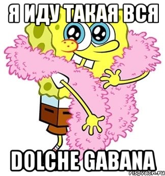 я иду такая вся dolche gabana