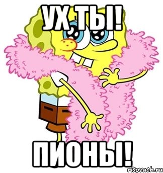 ух ты! пионы!