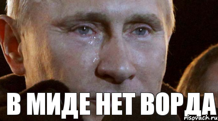 В МИДе нет Ворда, Мем Плачущий Путин