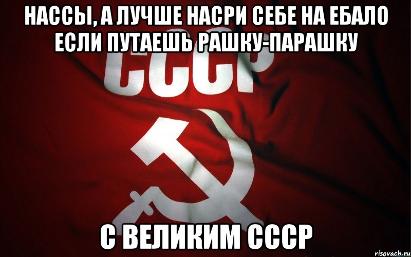 нассы, а лучше насри себе на ебало если путаешь рашку-парашку с великим ссср