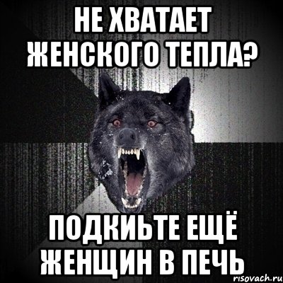 не хватает женского тепла? подкиьте ещё женщин в печь, Мем Сумасшедший волк