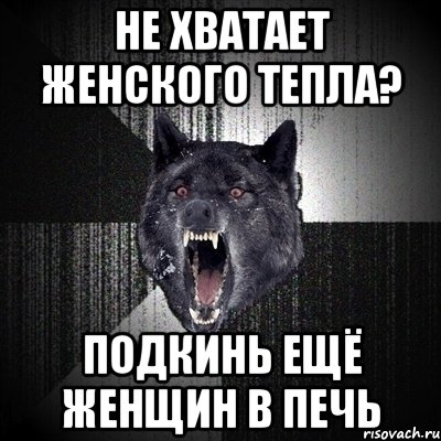 не хватает женского тепла? подкинь ещё женщин в печь, Мем Сумасшедший волк