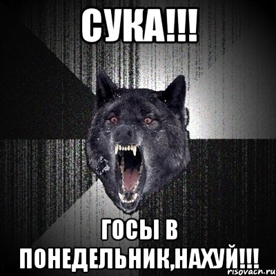 сука!!! госы в понедельник,нахуй!!!, Мем Сумасшедший волк