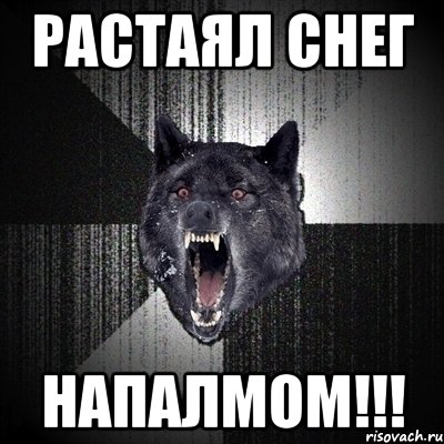 растаял снег напалмом!!!, Мем Сумасшедший волк