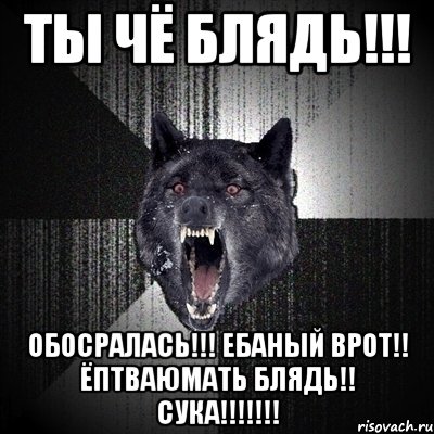 ты чё блядь!!! обосралась!!! ебаный врот!! ёптваюмать блядь!! сука!!!, Мем Сумасшедший волк