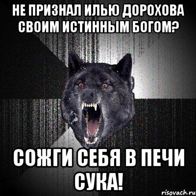 не признал илью дорохова своим истинным богом? сожги себя в печи сука!, Мем Сумасшедший волк