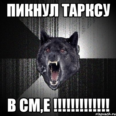 пикнул тарксу в cm,е !!!, Мем Сумасшедший волк