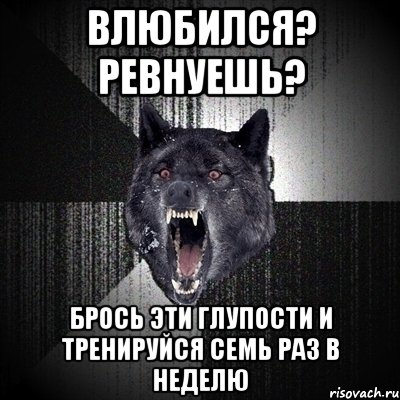 влюбился? ревнуешь? брось эти глупости и тренируйся семь раз в неделю, Мем Сумасшедший волк