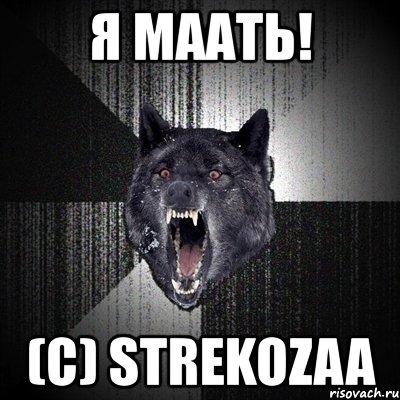 я маать! (с) strekozaa, Мем Сумасшедший волк