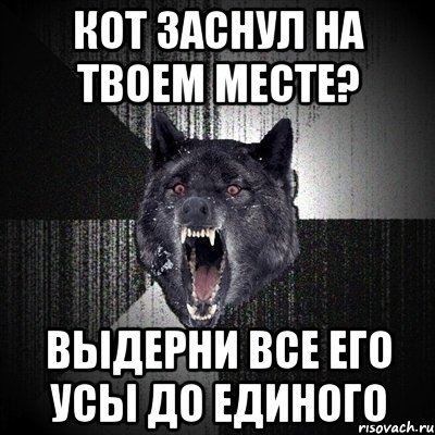 кот заснул на твоем месте? выдерни все его усы до единого, Мем Сумасшедший волк