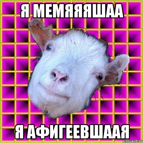 я мемяяяшаа я афигеевшаая, Мем типичная коза