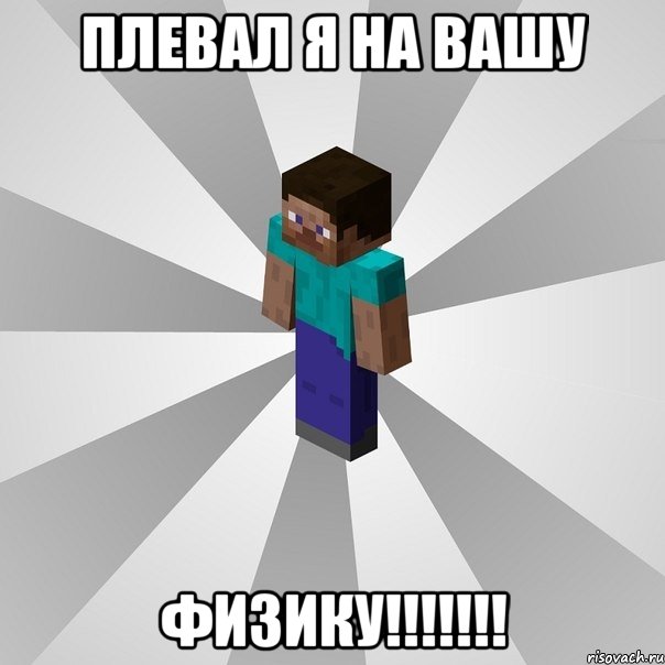 плевал я на вашу физику!!!, Мем Типичный игрок Minecraft