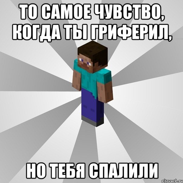 то самое чувство, когда ты гриферил, но тебя спалили, Мем Типичный игрок Minecraft