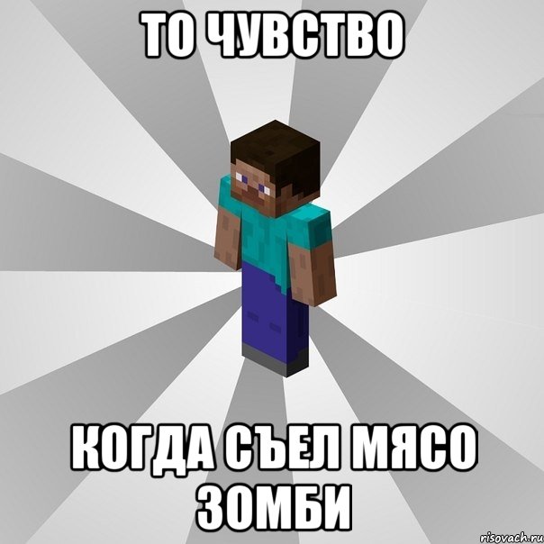 то чувство когда съел мясо зомби, Мем Типичный игрок Minecraft