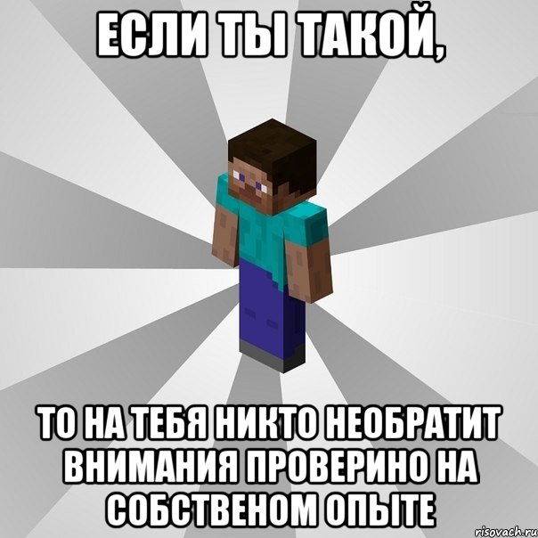 если ты такой, то на тебя никто необратит внимания проверино на собственом опыте, Мем Типичный игрок Minecraft