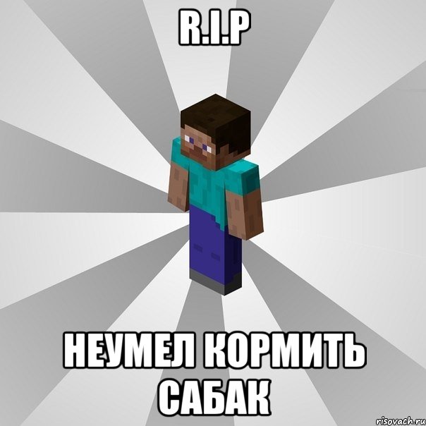 r.i.p неумел кормить сабак, Мем Типичный игрок Minecraft