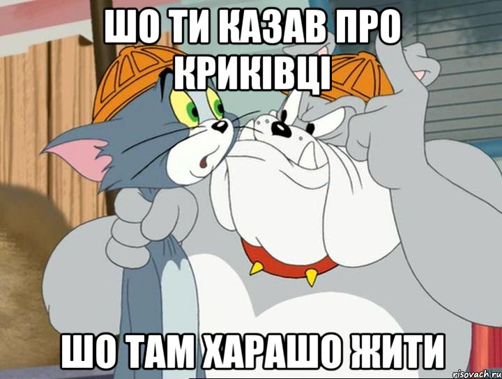 шо ти казав про криківці шо там харашо жити, Мем том и джерри