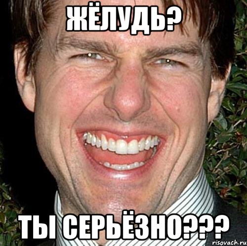 жёлудь? ты серьёзно???, Мем Том Круз