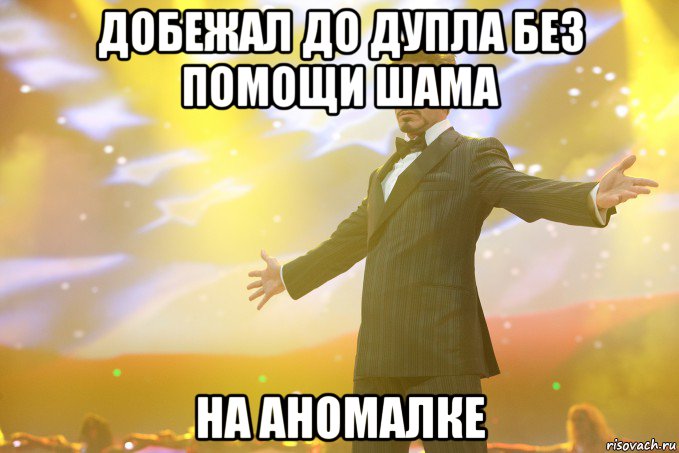 добежал до дупла без помощи шама на аномалке, Мем Тони Старк (Роберт Дауни младший)