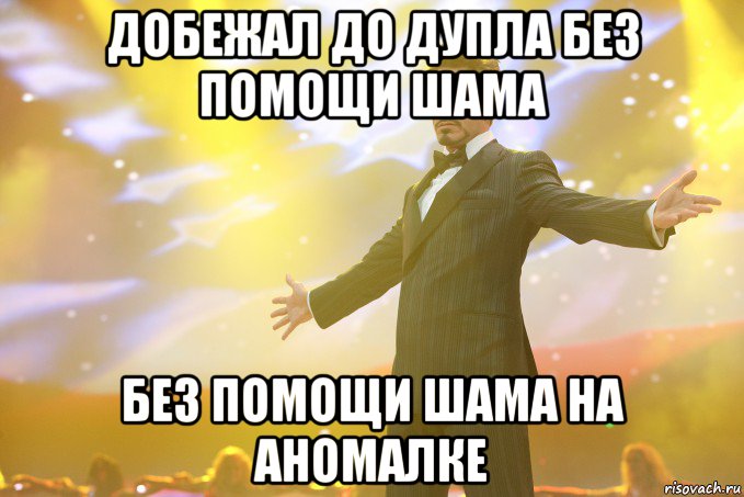 добежал до дупла без помощи шама без помощи шама на аномалке, Мем Тони Старк (Роберт Дауни младший)