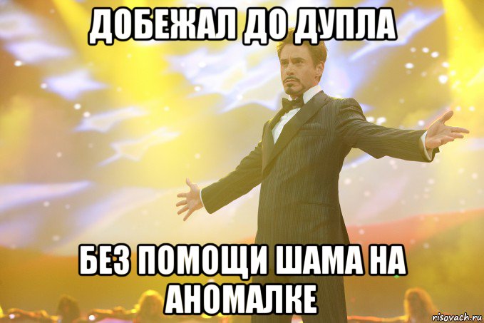 добежал до дупла без помощи шама на аномалке, Мем Тони Старк (Роберт Дауни младший)