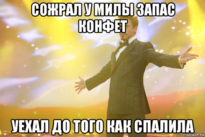 сожрал у милы запас конфет уехал до того как спалила, Мем Тони Старк (Роберт Дауни младший)