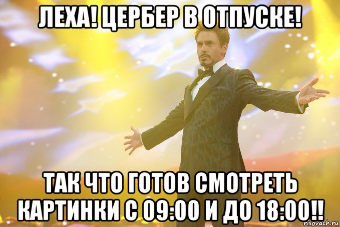 леха! цербер в отпуске! так что готов смотреть картинки с 09:00 и до 18:00!!, Мем Тони Старк (Роберт Дауни младший)