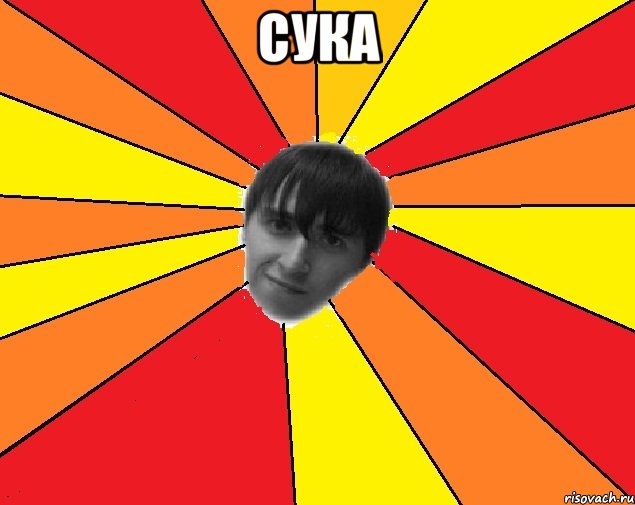 сука 